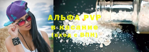 гашик Касимов