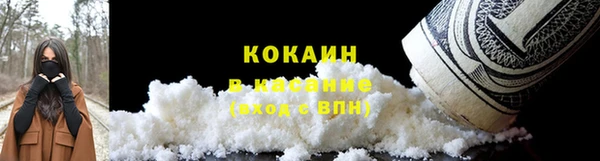 индика Карталы